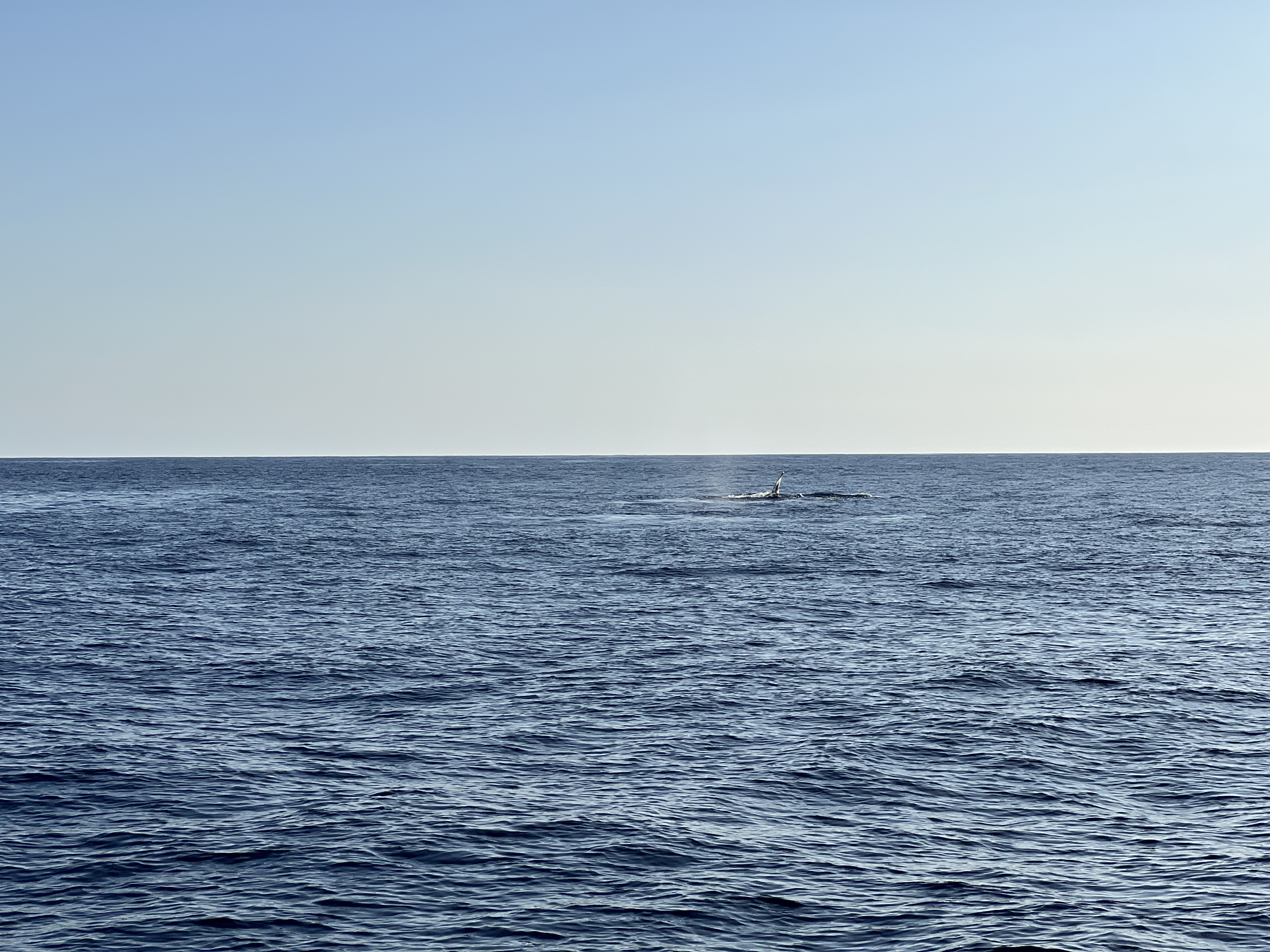 ./2024/13 - Cabo/IMG_4671.jpg